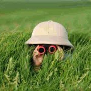 Meet your Posher, Tony